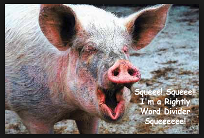 Dale Pig Koller